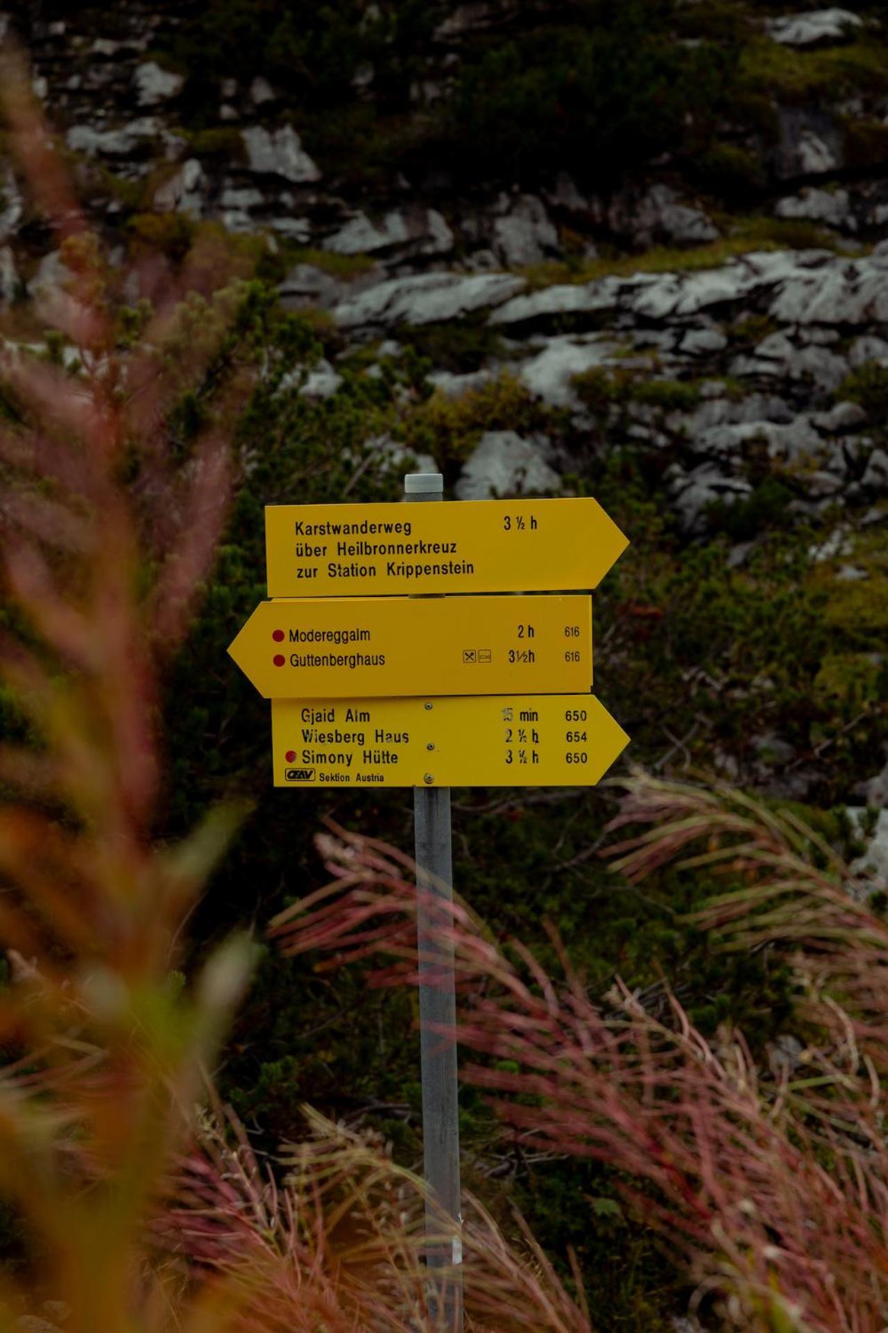 Hotel Gjaid-Alm 1739M Am Dachstein-Only Accessible By Cable Car Obertraun Exterior foto