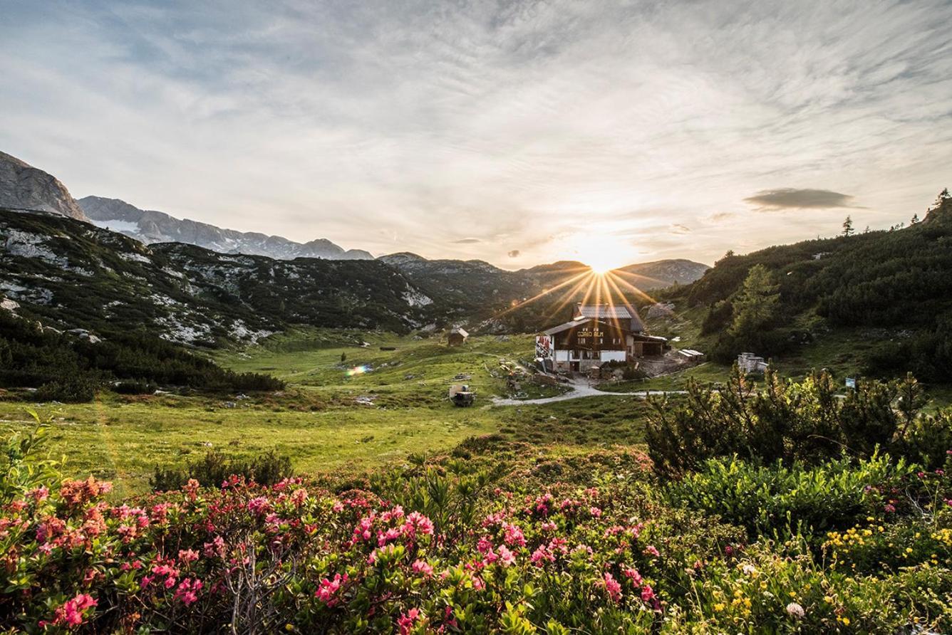 Hotel Gjaid-Alm 1739M Am Dachstein-Only Accessible By Cable Car Obertraun Exterior foto